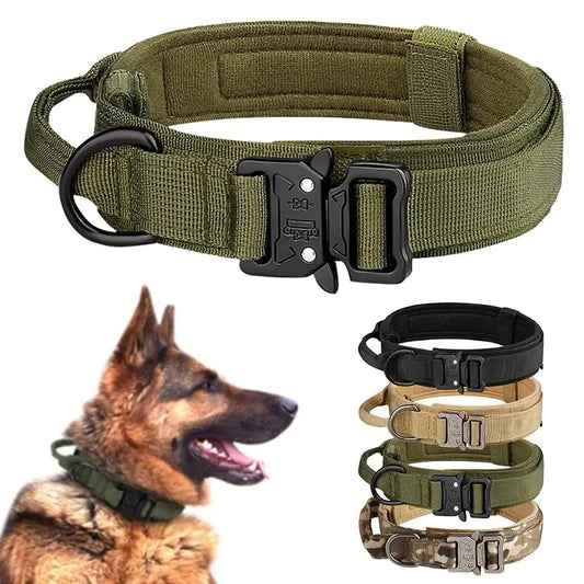 Outdoor Dog Collar With Metal Buckle Breathable Nylon