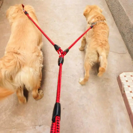 Double Pet Leash For Two Dogs Durable Anti Tangle Walking