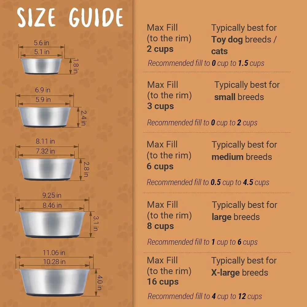 Stainless Steel Non Slip Dog Bowls Silicone Base Stable Holder